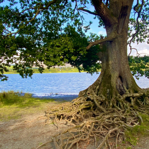 pant yr onnen campsite