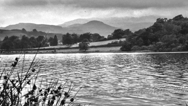 pant yr onnen campsite